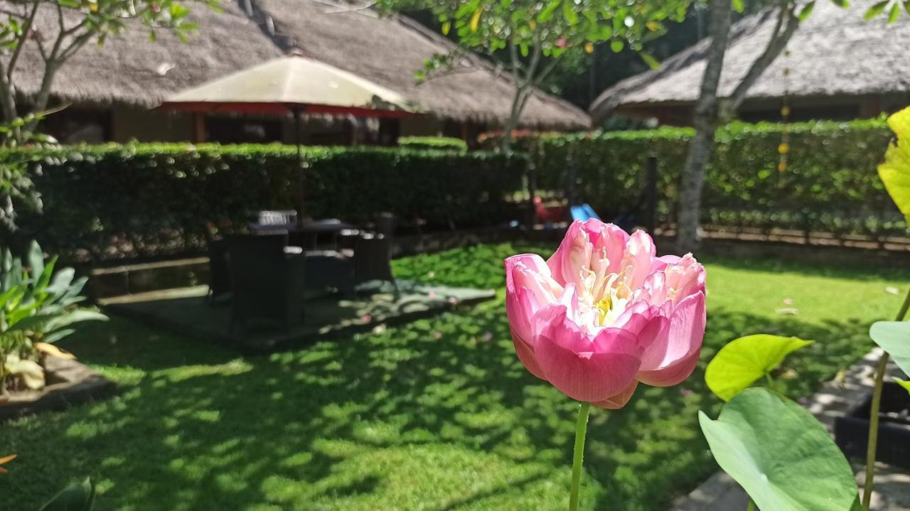 Bed and Breakfast Mama Bella'S Retreat Senggigi Exteriér fotografie